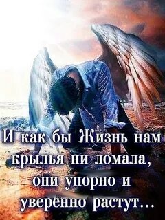 Ломая крылья