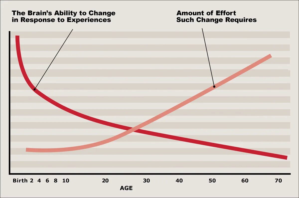Ability to change. The brain&#039;s ability to change in response to experiences.