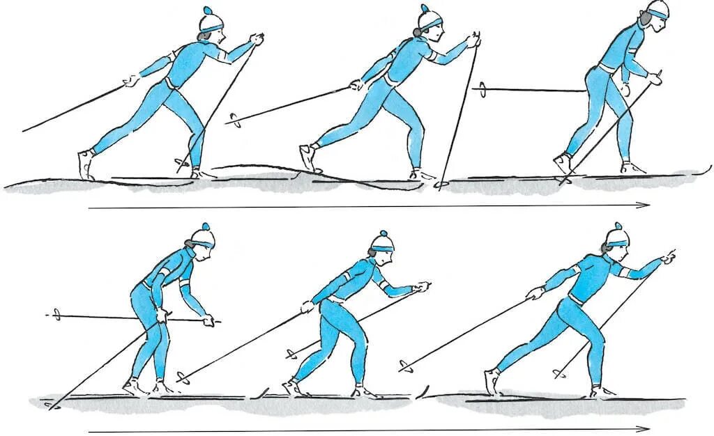 Шаг лыжника. Попеременный двухшажный ход техника хода. Попеременный двухшажход на лыжах. Одновременный двухшажный ход на лыжах. Техника лыжного хода попеременный двухшажный ход.