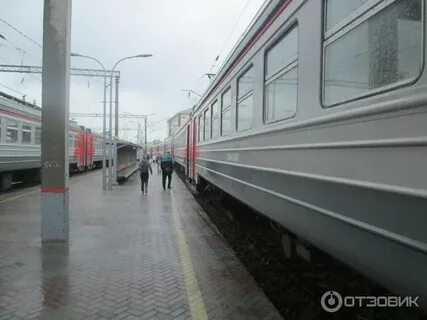 Билеты черепаново