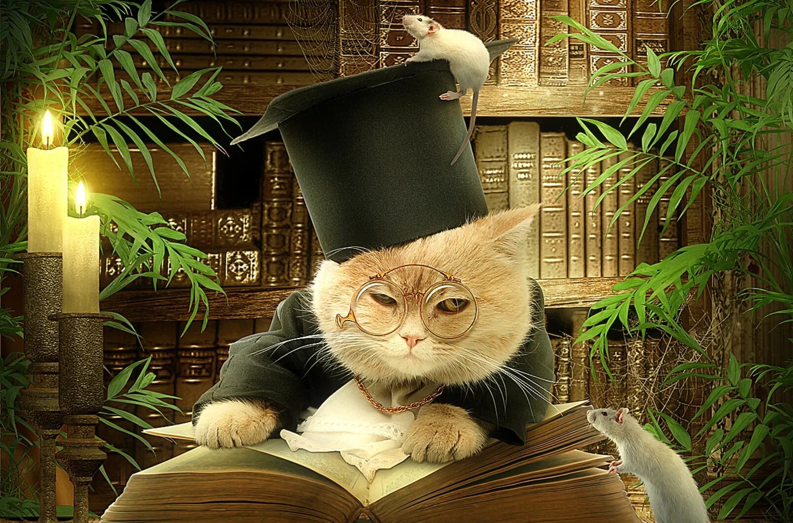 Кот ученый. Умный кот. Кот с книжкой. Кот в очках с книгой