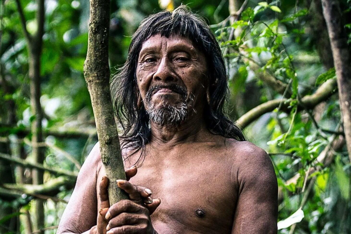 Дикий человек фото. Индейцы ваорани эквадор. Дикий человек фото. Apocalypto 2006. Эквадор ваорани племя ваорани.