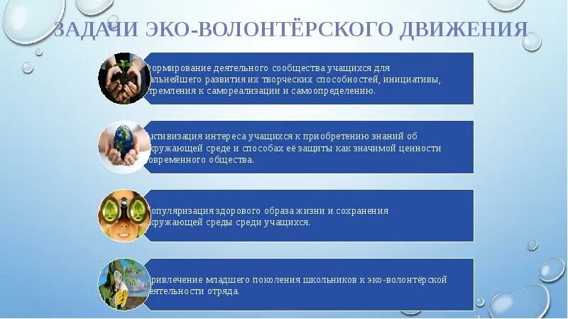 Волонтеры какую работу выполняют общественную окружающий мир