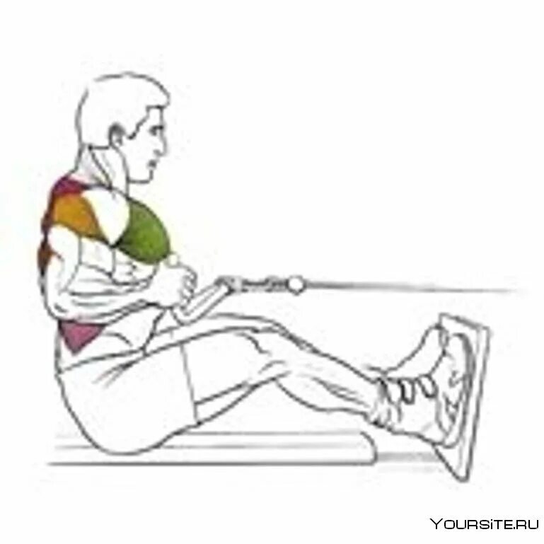 Техника выполнения горизонтальной тяги. Тяга горизонтального блока к поясу узким хватом. Тяга горизонтального блока мышцы. Горизонтальная тяга блока сидя узким хватом. Тяга горизонтального блока супинированным хватом.