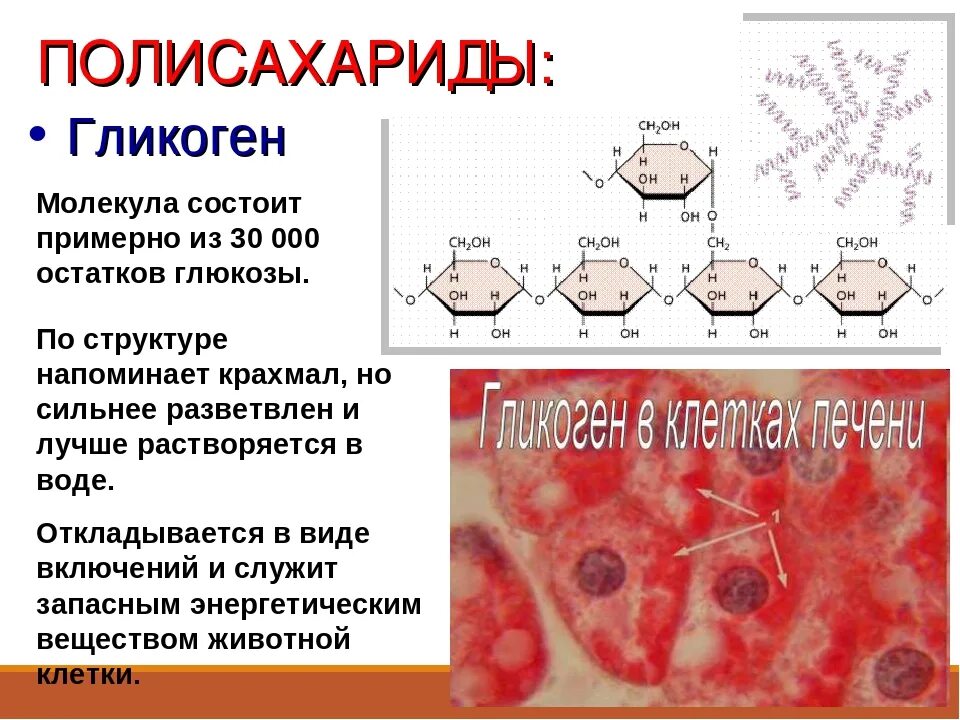 Глюкоза молекула полисахарида. Строение гликогена формула. Молекулярное строение гликогена. Гликоген формула и структура. Молекула гликогена формула.