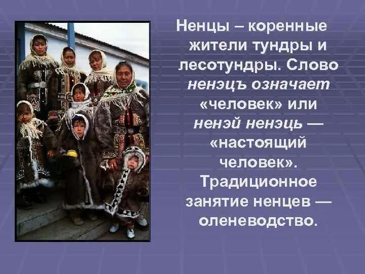 Жизнь и быт людей лесотундры