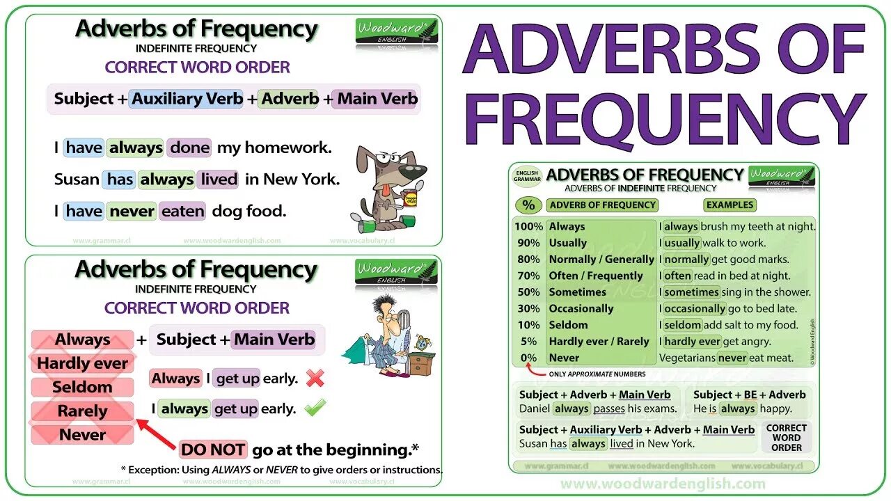 Adverbs of Frequency. Frequency adverbs грамматика. Adverbs of Frequency in English. Adverbs of Frequency Grammar.