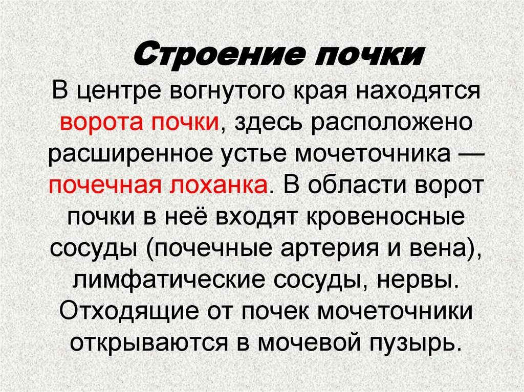 Почечные ворота строение. Ворота почки строение. Структура входящая в состав ворот почек. Ворота почки располагаются в области.