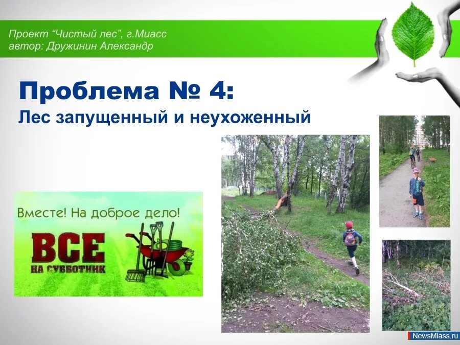 Стихи о лесах. Чистый лес до после. Чистые леса акция. Средство чистый лес. Нефтекамск чистый лес.