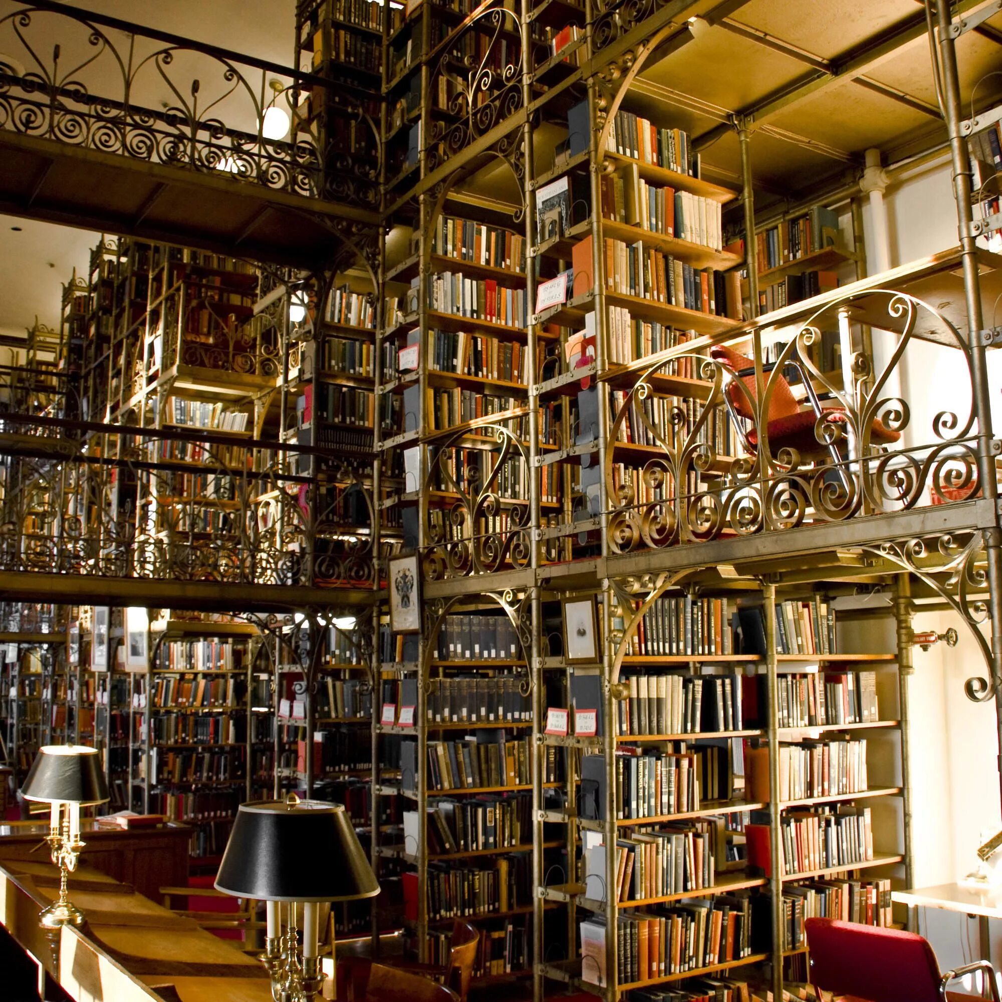 Телефон библиотеки. Библиотека Корнелльского университета. Библиотека Нью йоркского университета. Стэнфордский университет библиотека. Библиотека в бункере.