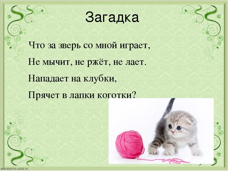 Загадки про котенка для 1 класса