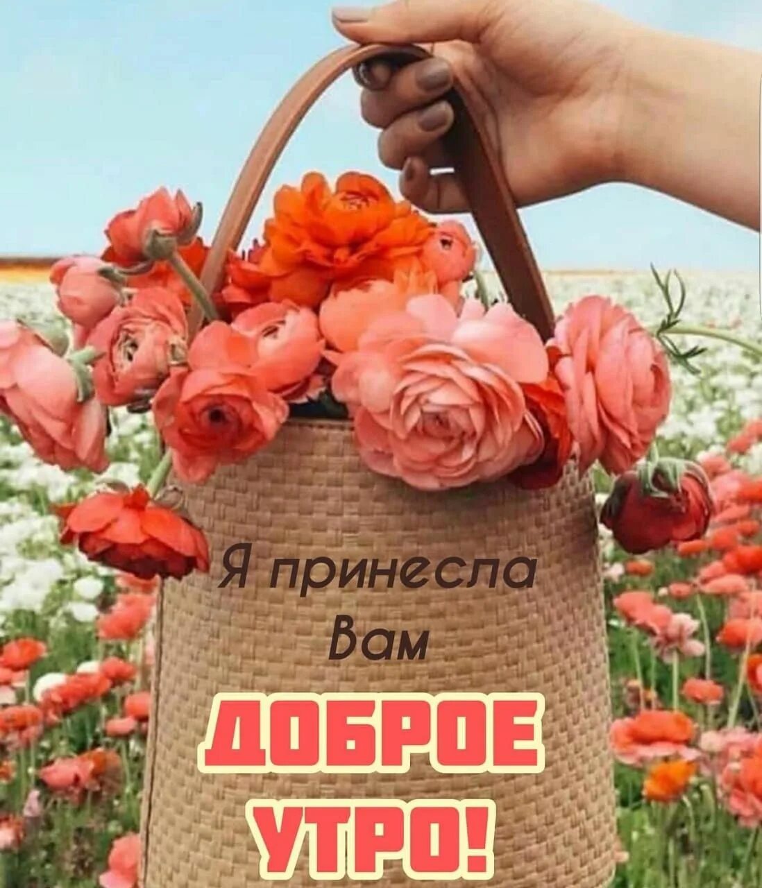 Новый добрый счастливый день