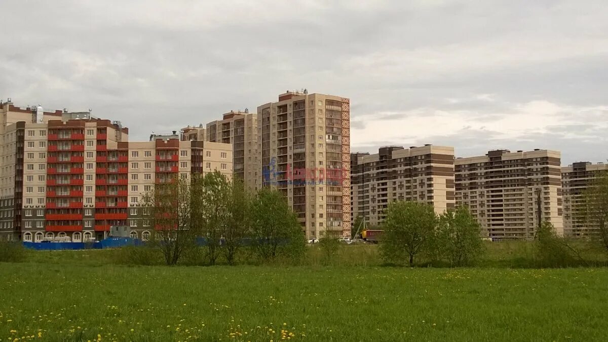 лаврики ленинградская область новостройки. лаврики. шоссе в лаврики 65. девяткино шоссе лаврики. полис лаврики мурино.