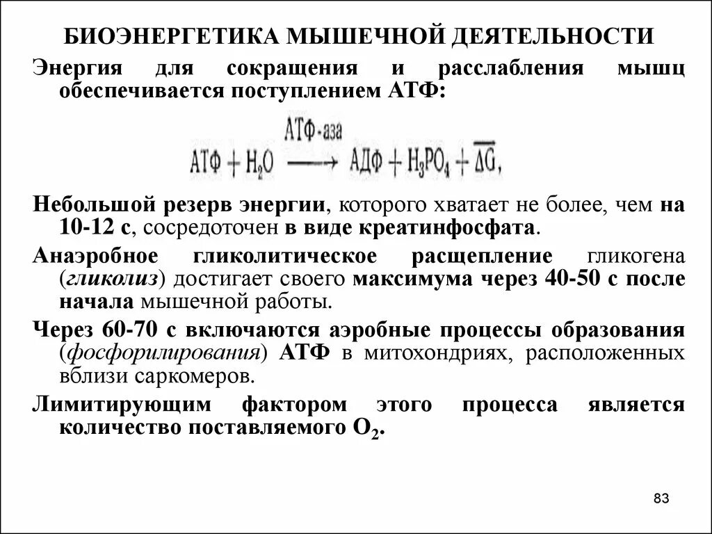 Энергия необходимая для работы мышц