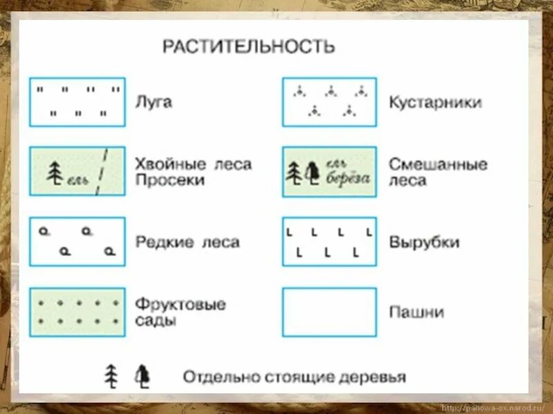 Условные знаки океан. Обозначение деревьев на топографической карте. Лес обозначение на топографической карте. Обозначение леса на топографических картах. Условные обозначения деревьев на топографических картах.