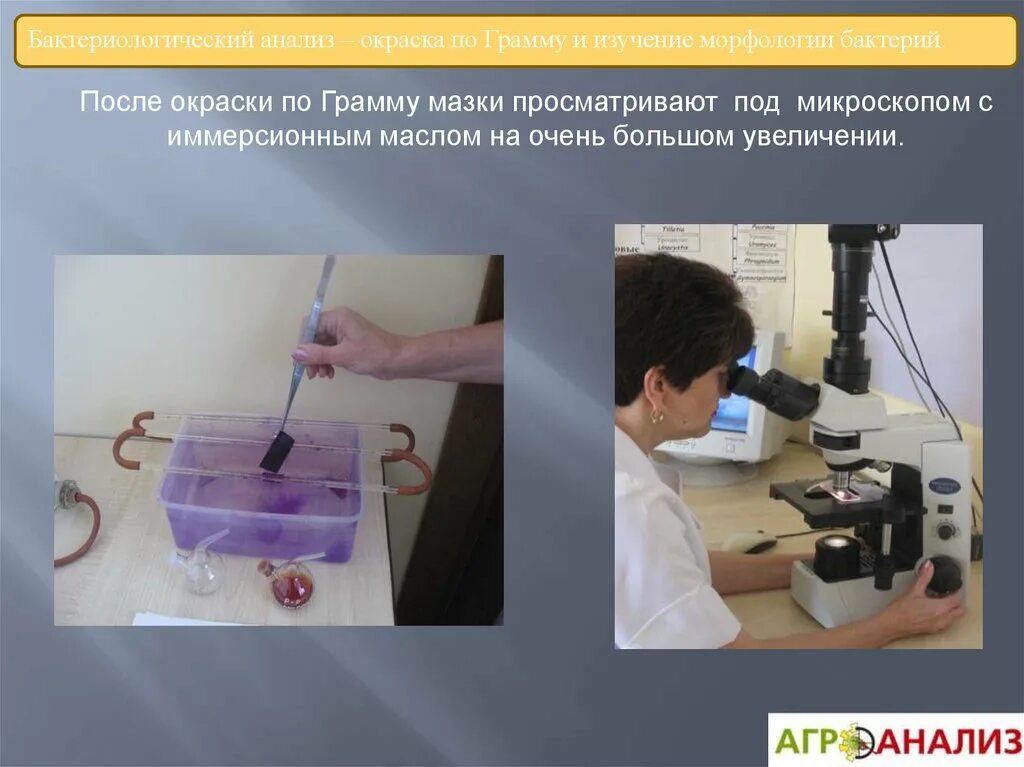 Метод фиксированного мазка