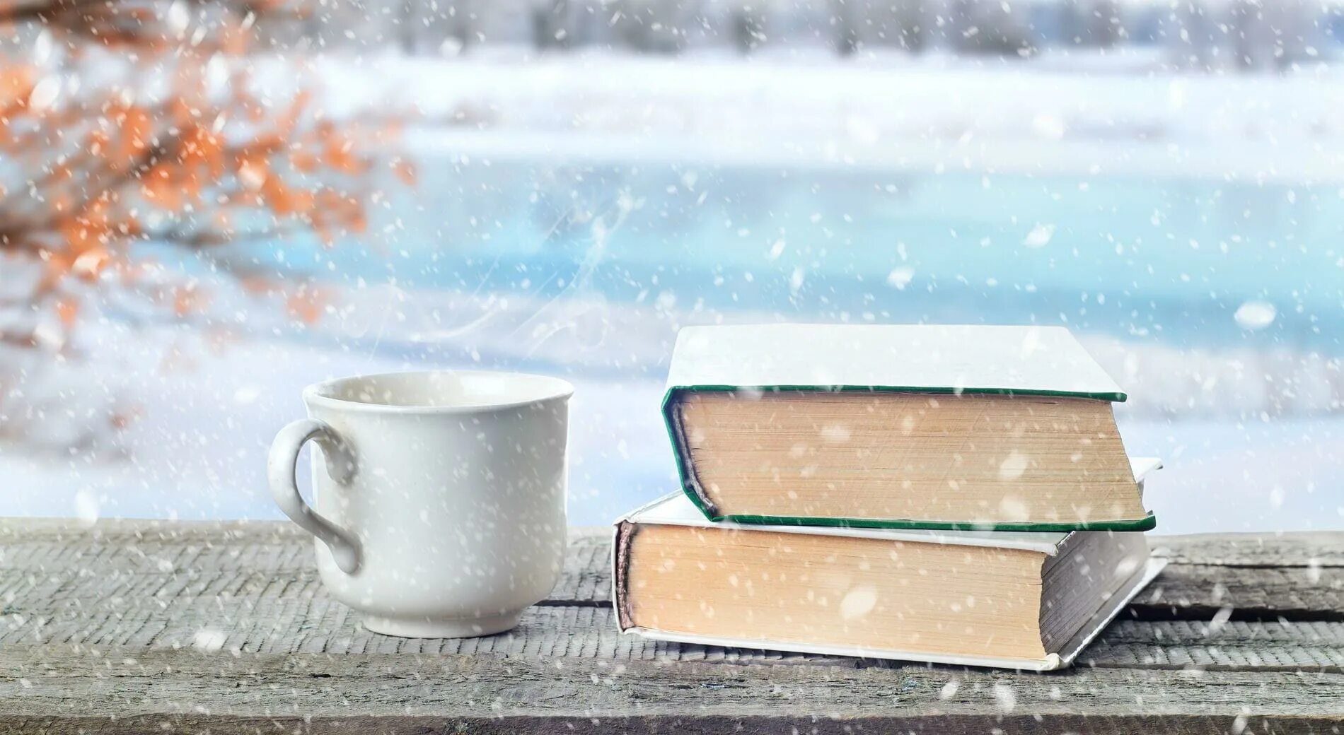 Книга зима картинки. Книга зима картинки