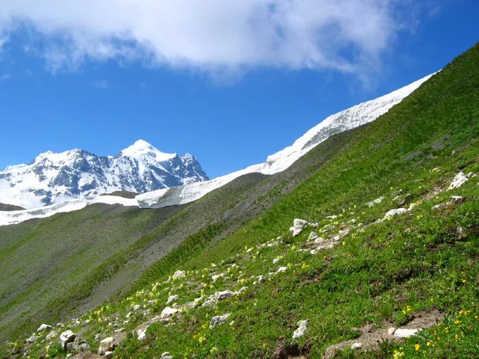 пышные поля холмы покрытые венцом дерев разросшихся кругом. ты хочешь знать что видел я на воле пышные поля холмы покрытые венцом. холмы в живописи. северная осетия холмы. пригорок пейзаж.