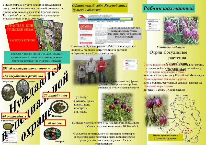 Питомник редких растений. Буклет про растения. брошюра питомника растений.