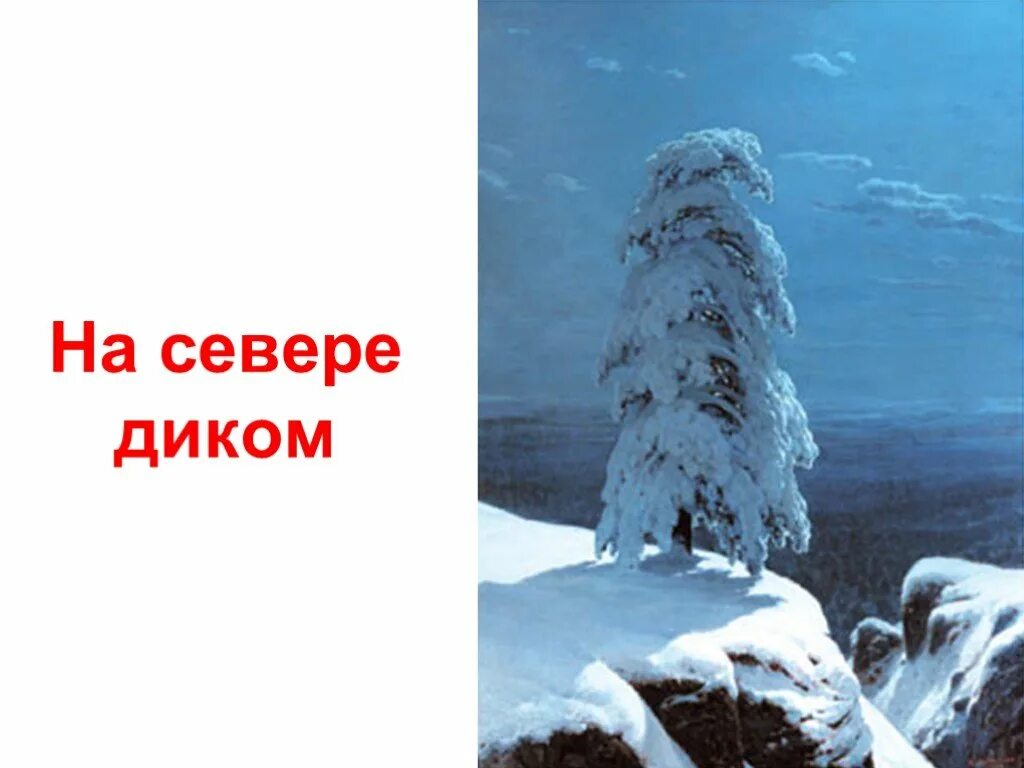 Картина на севере диком. Шишкин Иван«на севере диком...»,1891. М.Ю.Лермонтова на севере диком. Михаил Лермонтов на севере диком. Шишкина на севере диком.