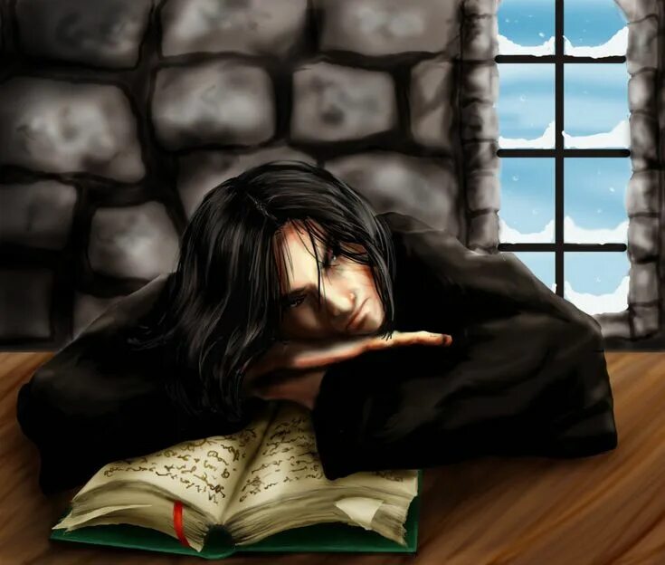 книга северус