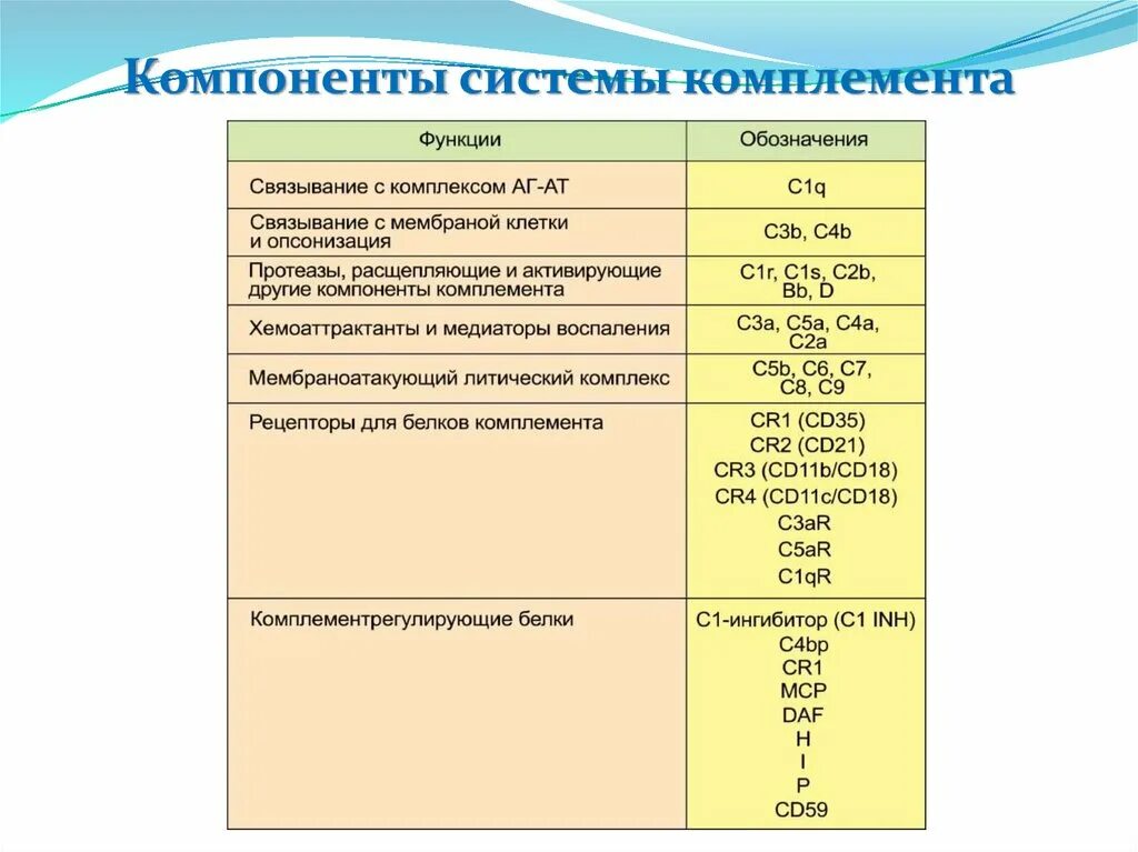 Цена комплемента. Компоненты системы комплемента и их функции. Система комплемента иммунология. Мембраноатакующий комплекс системы комплемента. Мак система комплемента.