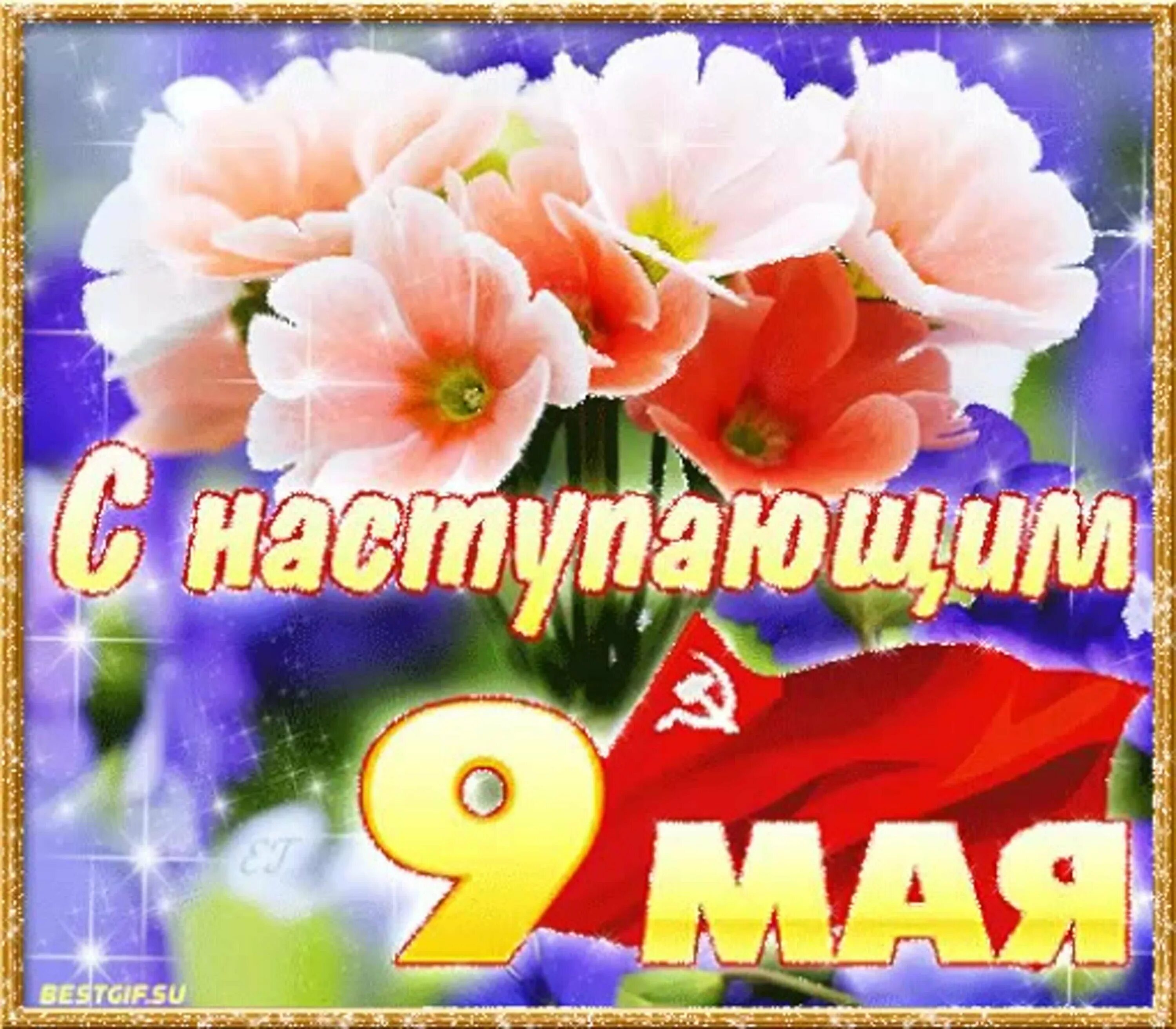 Статус 8 мая. С наступающим днем Победы. С праздником 9 мая. С днём Победы 9 мая открытки. С наступающим днем Победы поздравления.