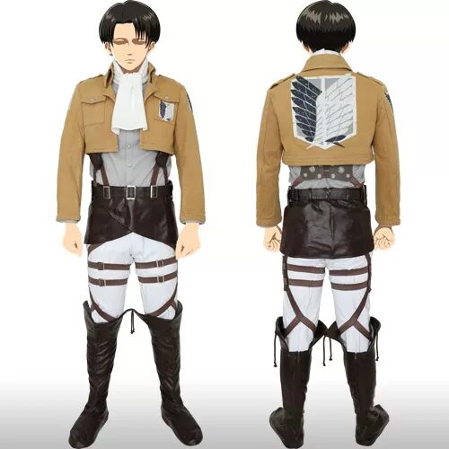 Attack of survey corps
