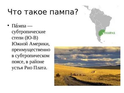 Зону степей южной америки называют