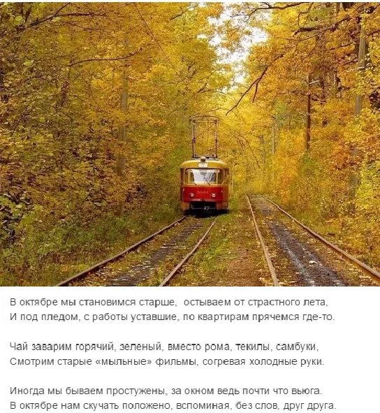 В октябре мы становимся. Чехов осень. Пуща водица трамвай. Джикки виан в октябре мы становимся старше. Слова со смыслом смешные.