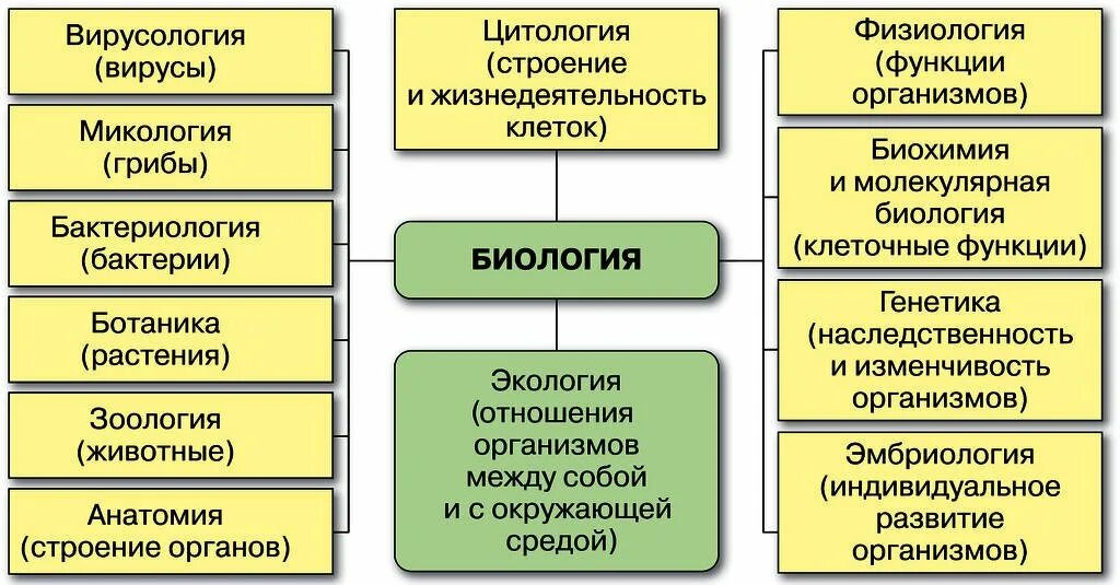 Система наук таблица. Биологические дисциплины 5 класс таблица. схема биологических наук. основные разделы биологии. биологические науки 5 класс биология таблица.