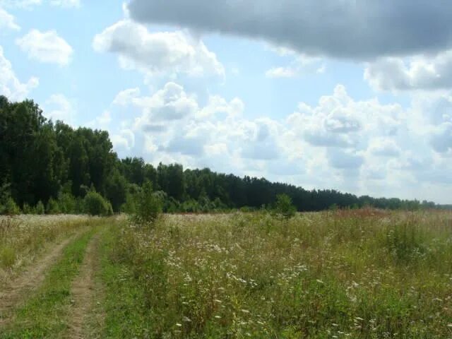 Кузьмищево тарусский. Деревня Кузьмищево Тарусский район. Таруса деревня Хлопово. Деревня Пименово Тарусский район. Деревня Хлопово Калужская область.