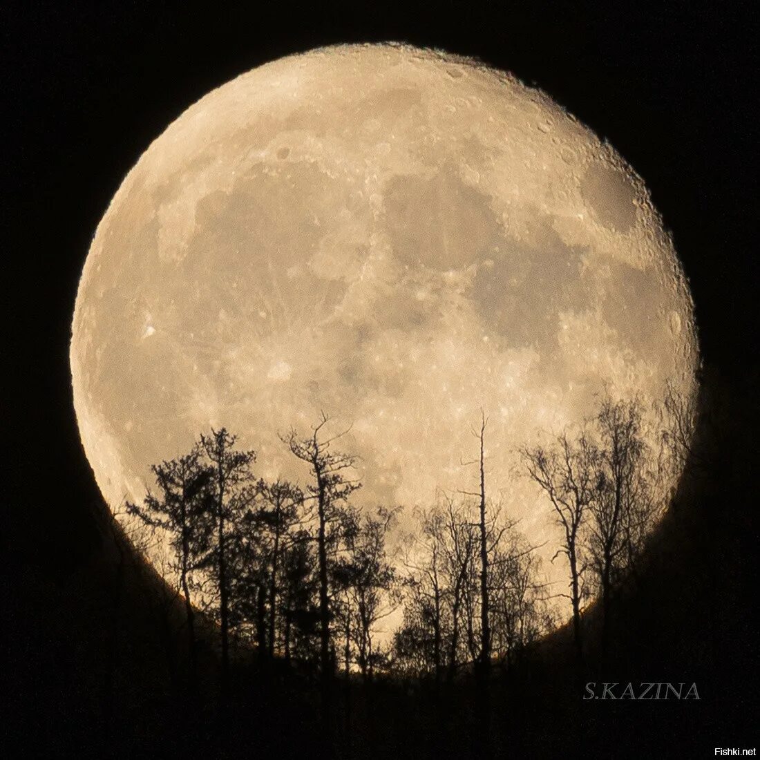 Луна 13 12. Снимки Луны. Луна в Горном Алтае. Полнолуние на Алтае.