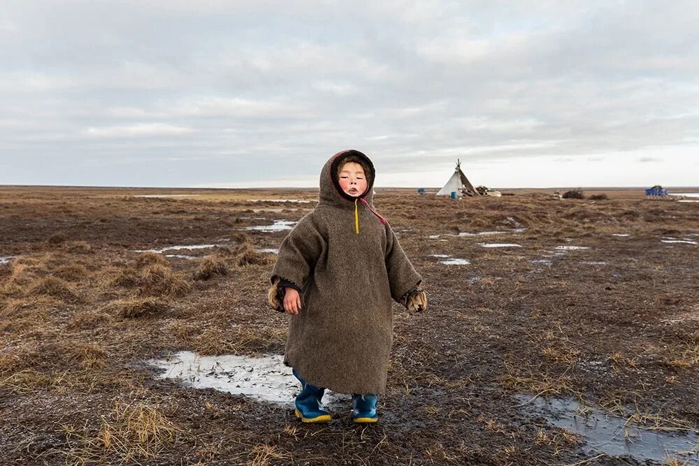 Ямал тундра ненцы. Ненцы Таймыр. Ненцы в тундре. Хонгурей ненцы.