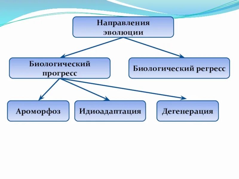 Формы направления эволюции. Главные направления эволюции биологический Прогресс. Направление эволюции биологический Прогресс биологический регресс. Направления эволюции таблица биологический Прогресс. Схема направление эволюции биологический Прогресс.