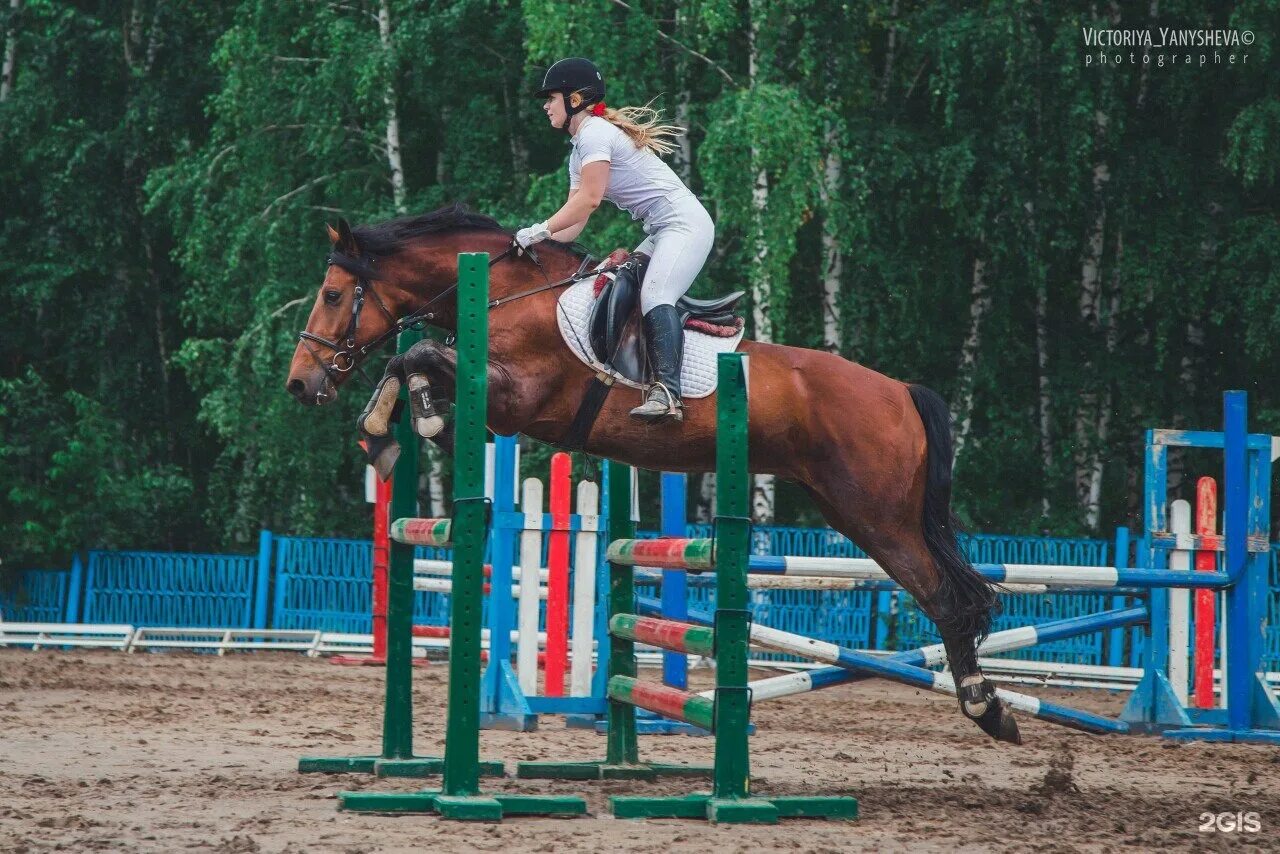 Кск новосибирск. Конный клуб Фаворит Новосибирск. КСК Фаворит Астрахань. КСК Фаворит Новокуйбышевск. Конный клуб Фаворит Астрахань.