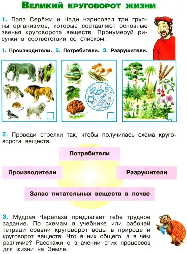 Т тетрадь окружающий мир 3 класс. Окружающий мир 3 класс рабочая тетрадь 1 часть Плешаков проект. Окружающий мир 3 класс рабочая тетрадь Великий круговорот жизни. Окружающий мир 3 класс рабочая тетрадь Плешаков стр 69. Окружающий мир 3 класс, часть 1, Плешаков а. а. рабочая.