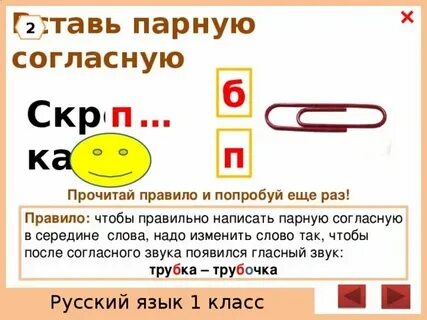 10 слов с парными словами