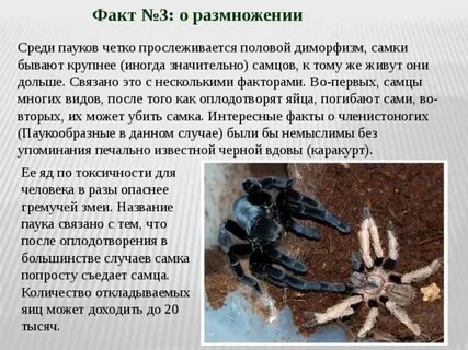 Четко прослеживается