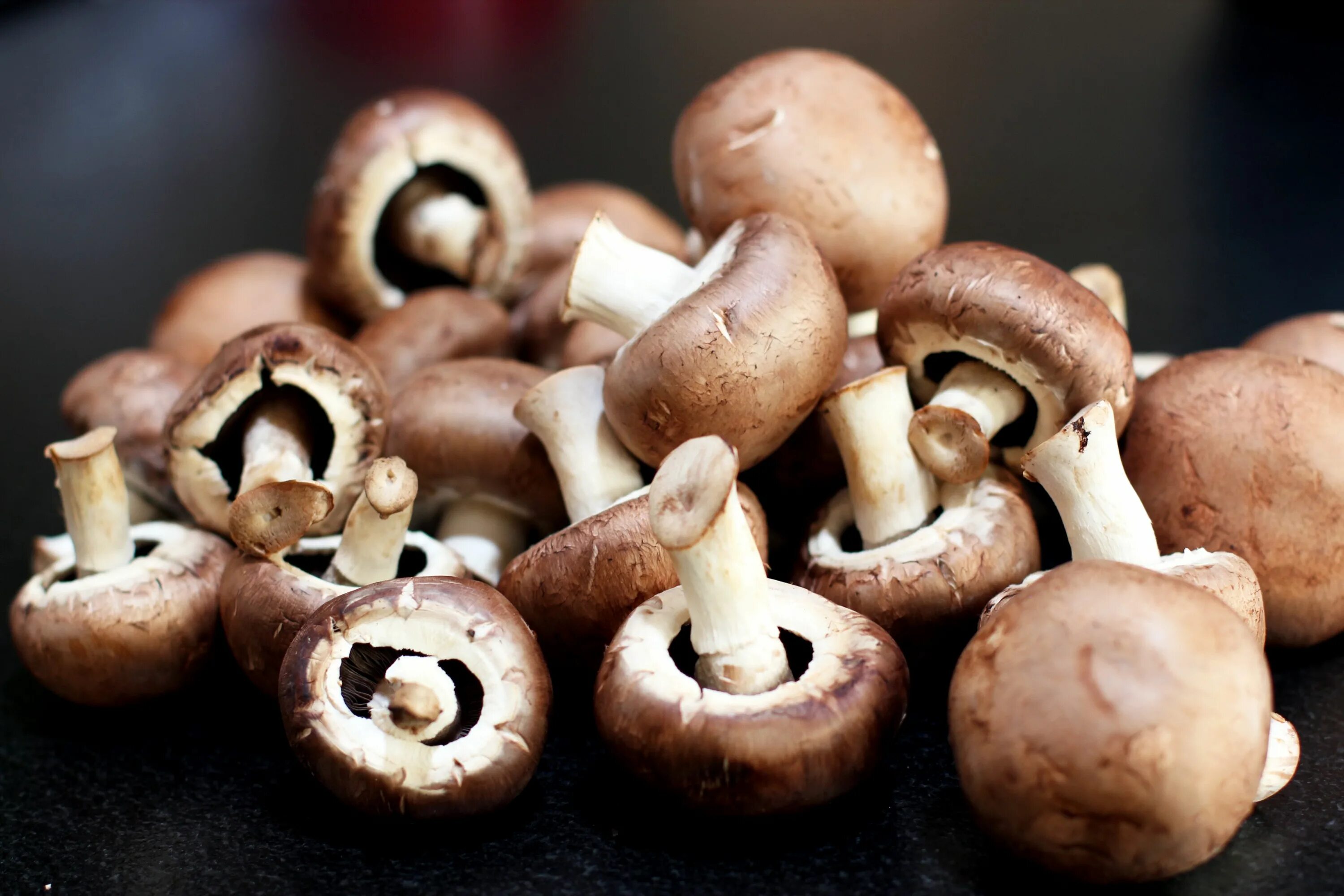 Черные шампиньоны можно. Шампиньон двуспоровый (Agaricus bisporus). Шампиньоны кримини. Степные шампиньоны. Маленькие шампиньоны.