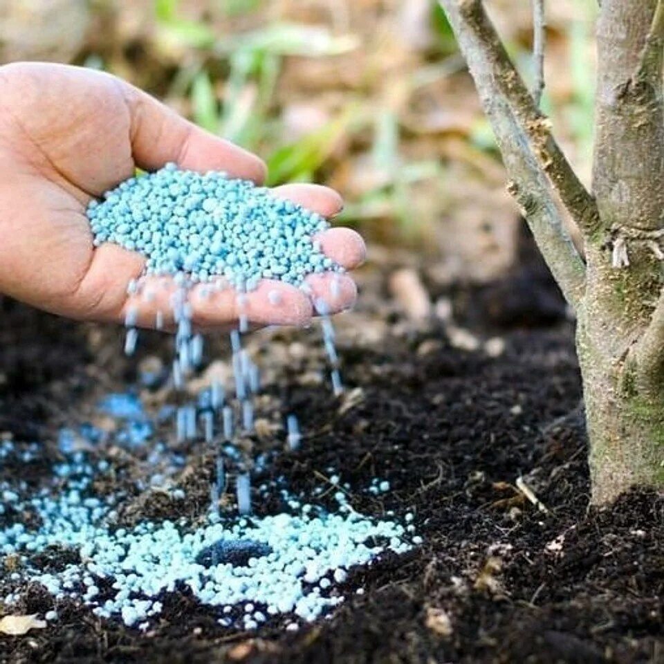 Чем можно подкормить деревья. Удобрение почвы. Минеральные удобрения для почвы. Удобрять почву. Вносить удобрения в почву.
