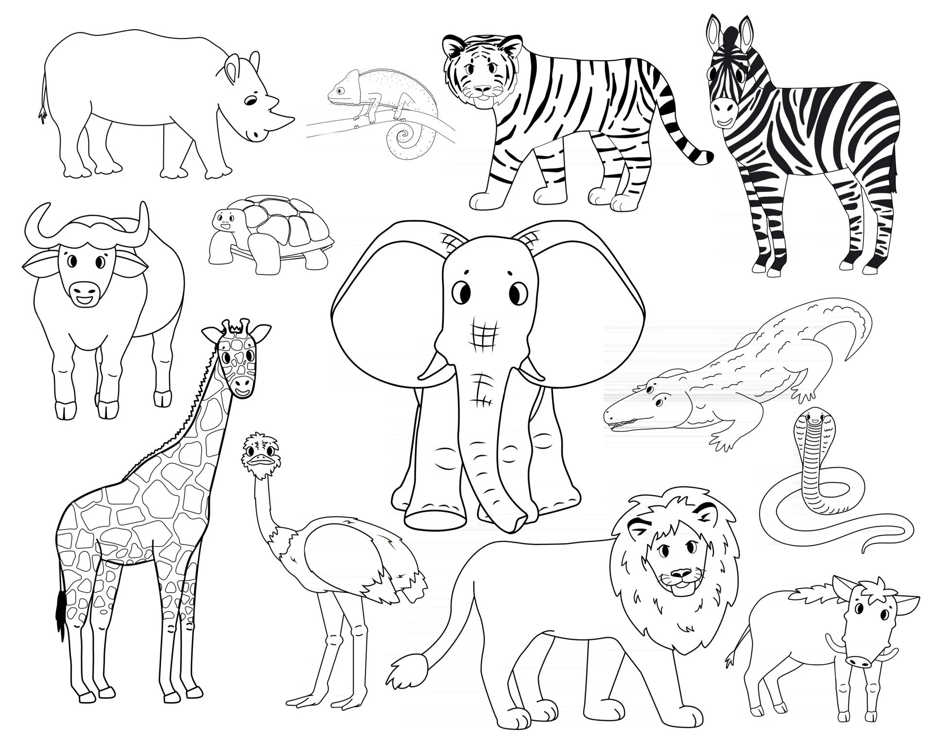 Тигр лев жираф слон. Животные саванны раскраска. Африканские животные раскраска. Саванна раскраска. Жираф. Раскраска.