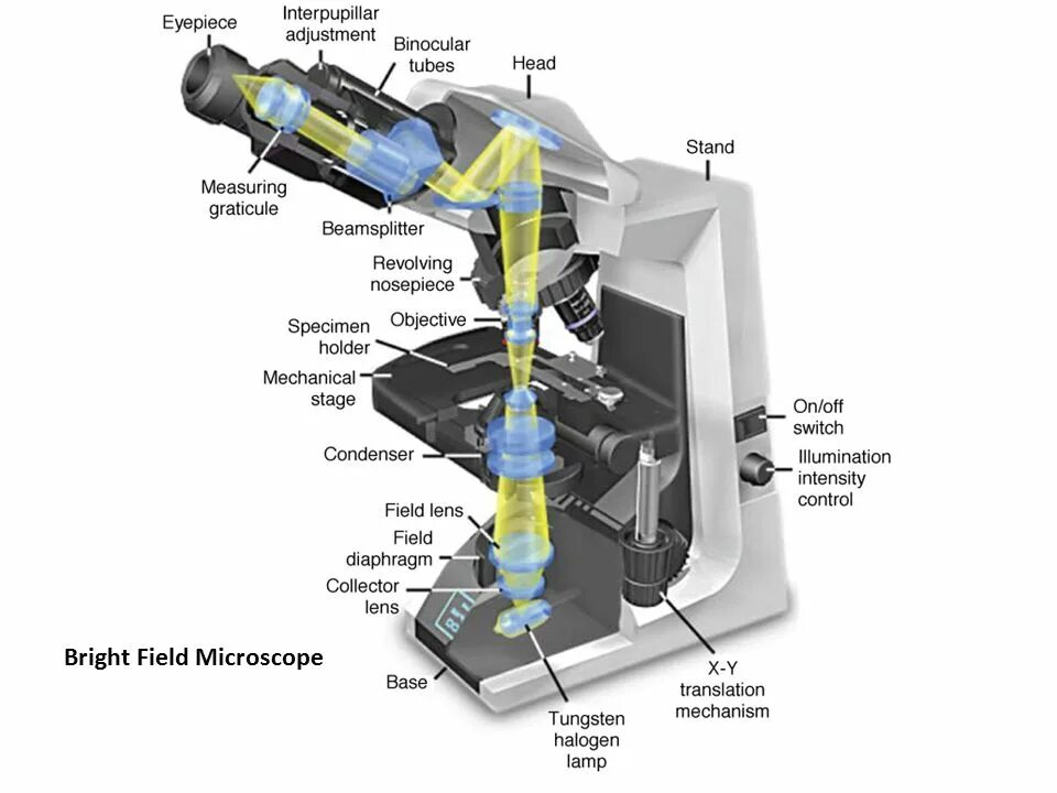 Состав цифрового микроскопа. Микроскоп в разрезе. Электронный микроскоп в разрезе. Строение электронного микроскопа. Цифровой микроскоп строение.