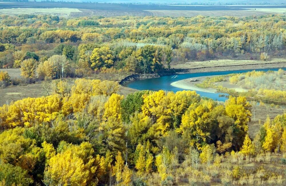 Урал оренбуржья. Гора Гребенская (Гребени). Урал Оренбургская область. Гребенская гора Оренбург. Гора Гребени Оренбург высота.