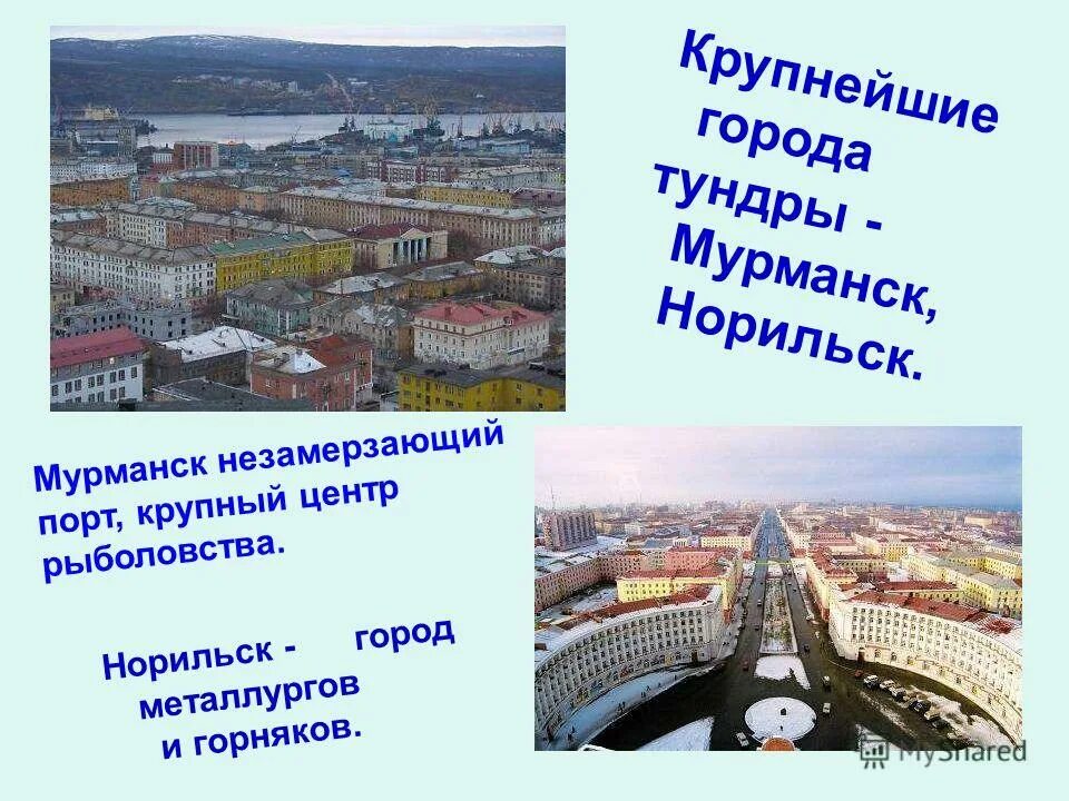 Крупные города тундры