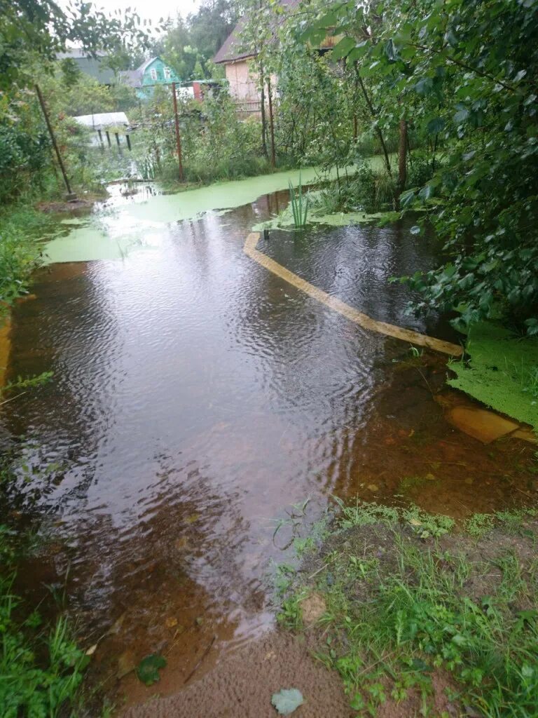 Погода всеволожский дунай на 14 дней. Затопило Садоводство. Садоводство Дунай затопило. Садоводство Дунай. Садоводство сады Дунай.