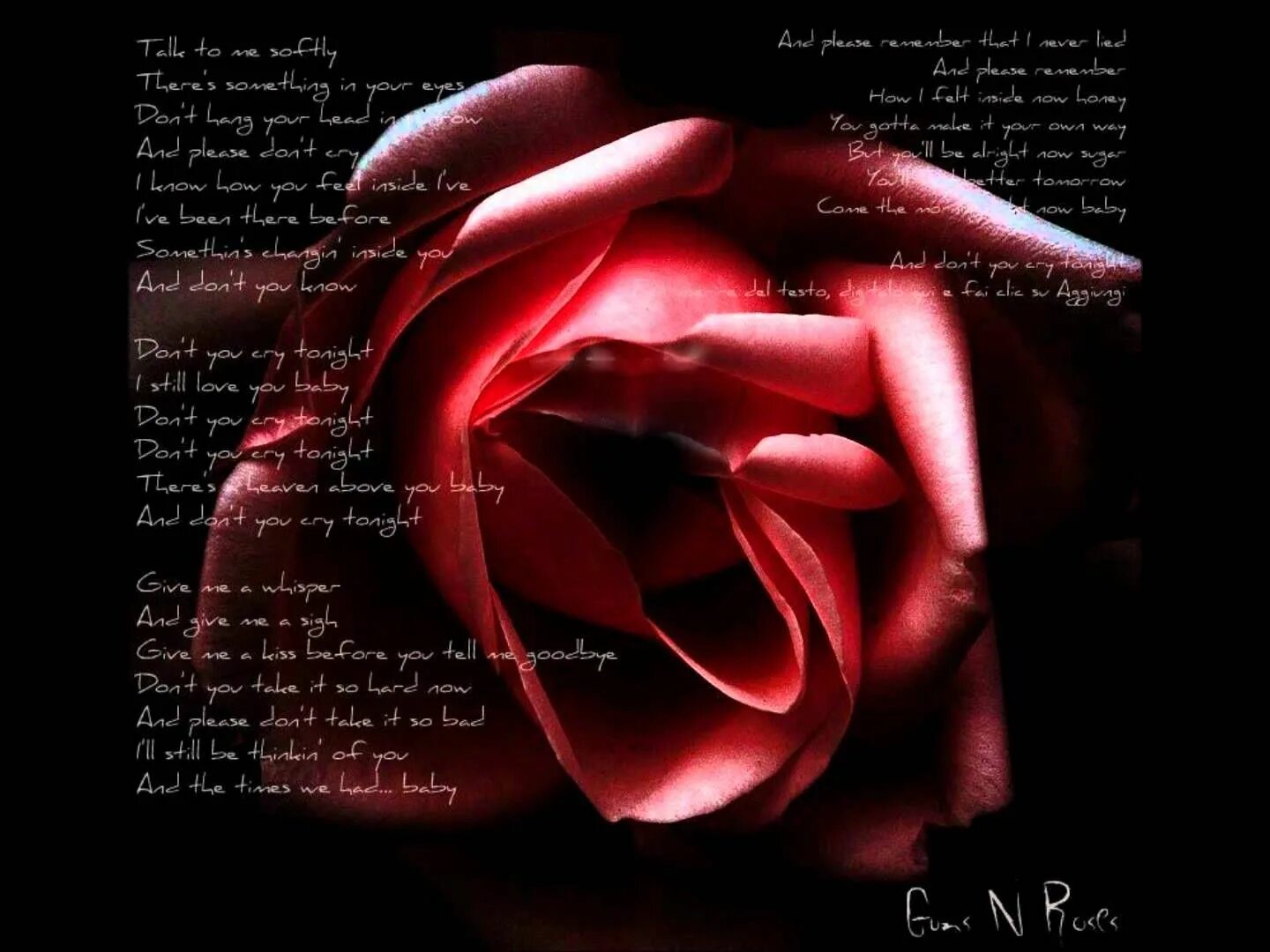 Rose lyrics. Ганс и розы. Guns n Roses don't Cry. Dont Cry Gun's Roses. Guns n Roses Lyrics.