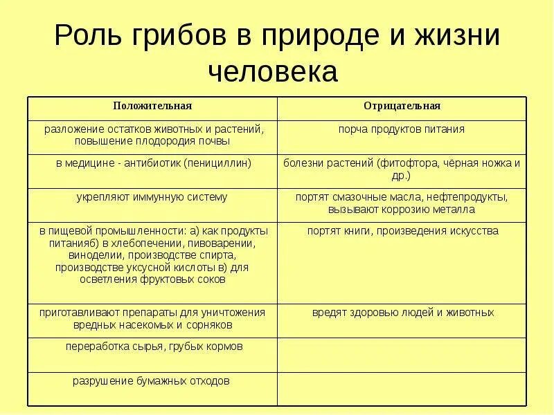 Значение грибов в природе 7 класс