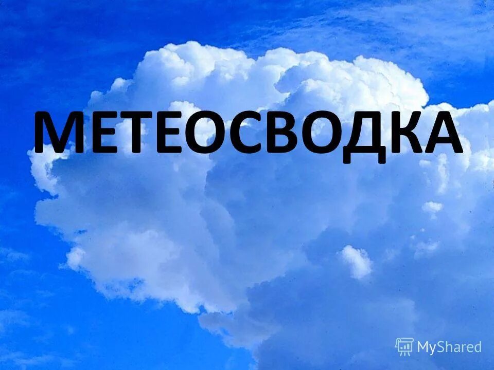 прогноз погоды. метеосводка карни. самый точный сайт погоды. метеосводка карни. до весны три понедельника.