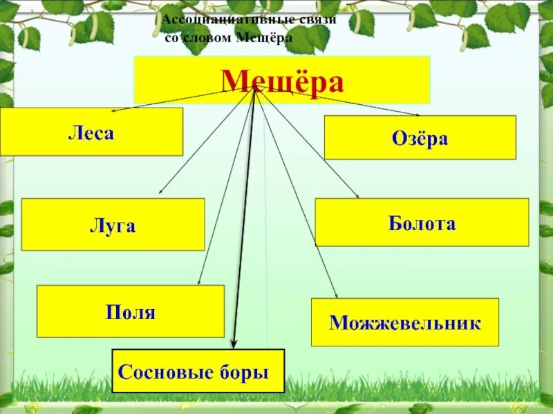 План изложения обыкновенная земля. Текст Мещера. План текста обыкновенная земля. Краткое изложение текста обыкновенная земля. Слово мещера